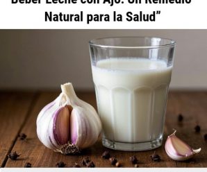 “Los Sorprendentes Beneficios de Beber Leche con Ajo: Un Remedio Natural para la Salud”