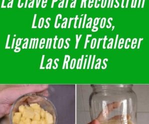 Licúa avena y piña con 3 ingredientes más: es la clave para reconstruir cartílagos, ligamentos y fortalecer las rodillas