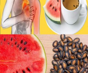 Té de semillas de sandía: Beneficios y recetas para la salud