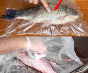 Cómo quitar las escamas del pescado con una bolsa