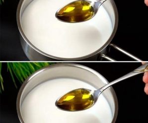 Echa Aceite de Oliva en la Leche y Nunca Volverás a Comprar Leche en la Tienda
