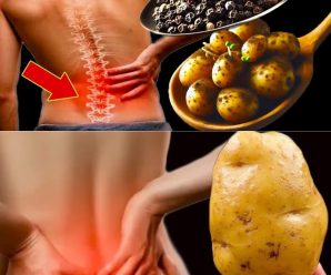 Adiós a las molestias, ¡hola a la libertad! La forma natural de aliviar tu cuerpo