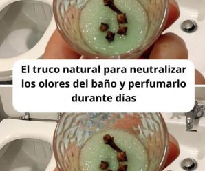 Un truco natural para neutralizar los olores desagradables en el baño y mantenerlo con buen olor durante días