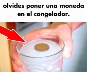 Cuando vayas a salir por varios días de tu casa, no olvides poner una moneda en el refrigerador