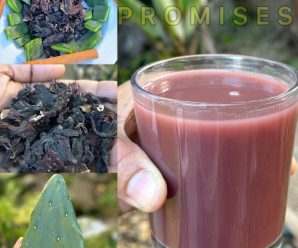Limpia los riñones, desintoxica el organismo, el hígado graso y elimina la diabetes tipo 2