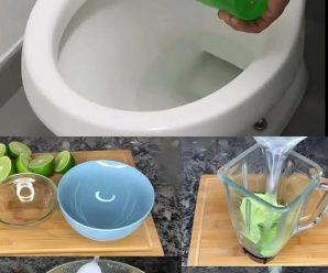 EL TRUCO DE LA BOTELLA PARA TENER SIEMPRE EL BAÑO LIMPIO: SIN TOCAR DURANTE 1 MES