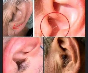 Esta es la verdadera razón por la que te salen pelos en las orejas: Descúbrelo todo aquí