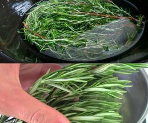 “Té de romero en ayunas: 20 beneficios y cómo prepararlo”