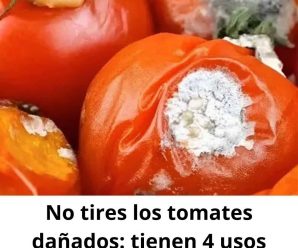 No tires los tomates dañados: 4 usos útiles que te sorprenderán
