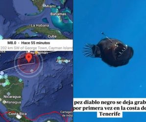 YA ESTÁ EMPEZANDO! ESTO ES LO QUE NOS VINO A AVISAR EL PEZ DIABLO.