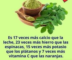 La moringa, una planta que puede revolucionar tu salud