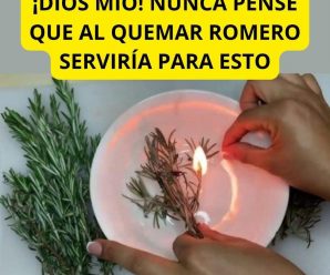 Quema Romero en tu Casa y en 10 Minutos Me Agradecerás por los Resultados