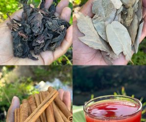 El poderoso té de flor de jamaica, canela y laurel