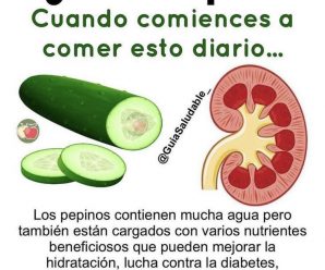 Empecé a comer pepino