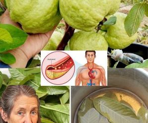 Beneficios de beber té de guayaba y cómo prepararlo