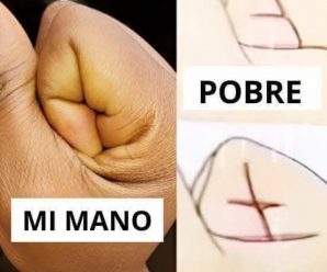 Que determinan las líneas de la mano: El curioso meme que se hizo viral
