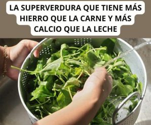 LA SUPERVERDURA QUE TIENE MÁS HIERRO QUE LA CARNE Y MÁS CALCIO QUE LA LECHEHamburguesas caseras