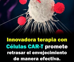 Innovadora terapia con células CAR-T promete retrasar el envejecimiento de manera efectiva.