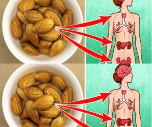 El secreto matutino: ¿Por qué las almendras remojadas son un superalimento que transforma tu salud? «