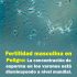 Fertilidad masculina en peligro: la concentración de esperma baja a nivel mundial.