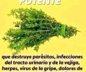 Fascinante, anota la receta porque esto cura: la diabetes, páncreas, hígado, colesterol, quema grasa y más.