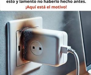 Porqué no se deben dejar conectados los cargadores.