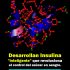 Desarrollan insulina «inteligente» que revoluciona el control del azúcar en sangre.