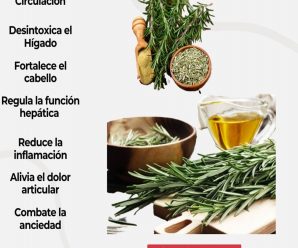 Té de Romero en Ayunas: Beneficios y Precauciones