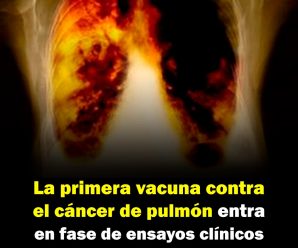 La primera vacuna contra el cáncer de pulmón entra en fase de ensayos clínicos en siete países.