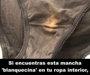 Todo lo que necesitas saber acerca del flujo vaginal