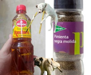 Mezcla vinagre con pimienta y nunca más tendrás orina de perros y gatos