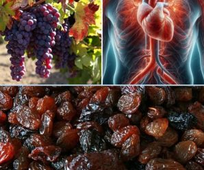 Come Pasas Todos los Días: Aprovecha sus 20 Beneficios y Propiedades para una Vida Saludable