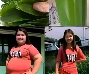 ¡Adiós a la Grasa Abdominal! Solo Necesitas Estos 2 Ingredientes para Lograrlo