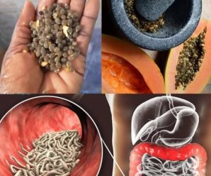 15 beneficios para la salud de las semillas de papaya y cómo utilizarlas