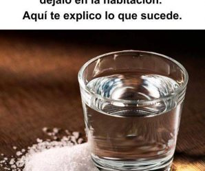 Sana el ambiente de tu hogar con agua, vinagre y sal.