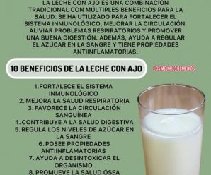 LA PODEROSA COMBINACIÓN DE LECHE Y AJO: 15 BENEFICIOS Y CÓMO APROVECHARLA AL MÁXIMO