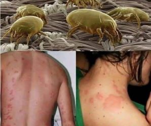 ¿El colchón está lleno de ácaros? ¡Aquí tienes el truco de la abuela para deshacerte de ellos para siempre!