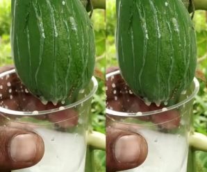 Savia de papaya: el elixir oculto de la naturaleza
