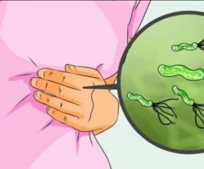 «Helicobacter Pylori: La Bacteria Silenciosa y Cómo Eliminarla de Forma Natural»