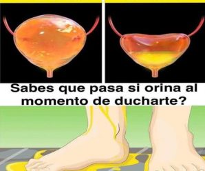 «Esto es lo que realmente sucede cuando orinas en la ducha (y por qué deberías pensarlo dos veces)»