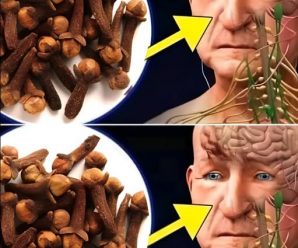 Los Poderosos Beneficios de Masticar Clavos de Olor en Ayunas Después de los 50 Años