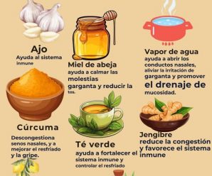 DIFERENCIA ENTRE TÉ E INFUSIÓN: ¿SABES CUÁL ELEGIR?