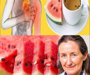 Té de semillas de sandía: propiedades curativas y recetas fáciles para disfrutar