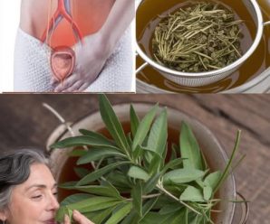 EL REMEDIO NATURAL CON PODER DETOX Y ANTIINFLAMATOR