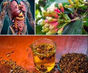 “Agua de clavo: 8 transformaciones que experimentarás si la bebes durante 30 días”