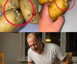 Papas con brotes: Un riesgo oculto para la salud.