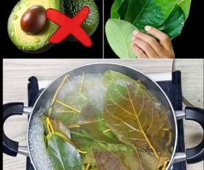 “Descubre el poder curativo de tu hogar: el maravilloso té de hojas de aguacate”
