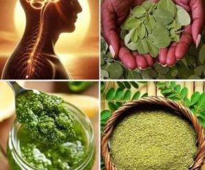 “Los sorprendentes beneficios de las hojas de moringa: salud renal, control del ácido úrico, función arterial y regulación de la insulina”