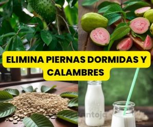 Elimina la piernas dormidas, la diabetes, la comezón, los calambres y la presión arterial alta con sólo una taza de esta mezcla