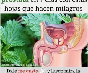 Ortiga para Mejorar la Próstata: Receta Detallada, Consejos y Síntomas